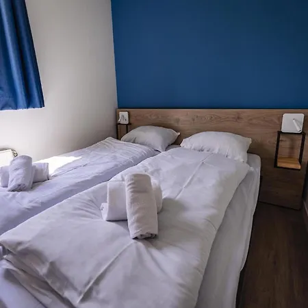 Modern With Sauna Holiday home Ewijk