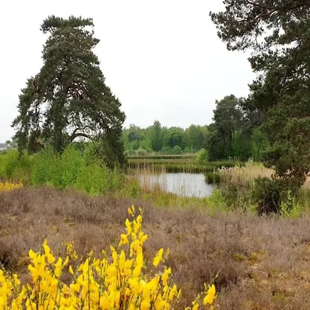 Holiday home Detached Home Nijmegen Lake View Sauna